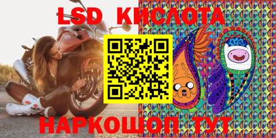 гидропоника Камышлов