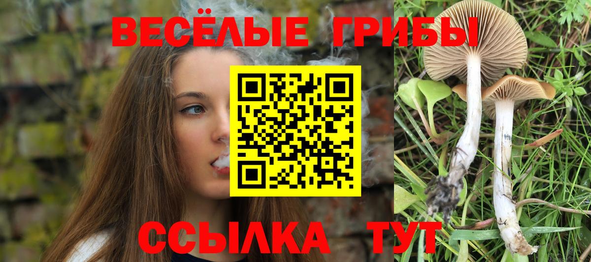 Галлюциногенные грибы Psilocybine cubensis  Вход с VPN  Кстово  Псилоцибиновые грибы MAGIC MUSHROOMS 