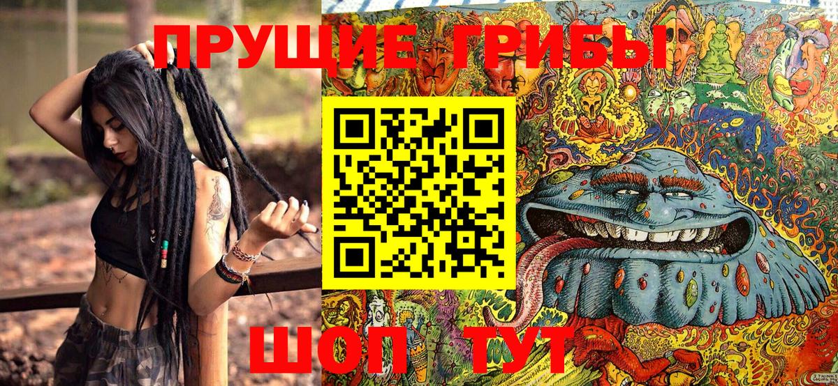 Псилоцибиновые грибы Cubensis Кстово